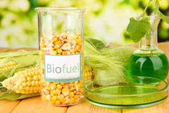 Green biofuel availability