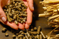 free Green biomass boiler quotes