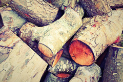 Green wood burning boiler costs